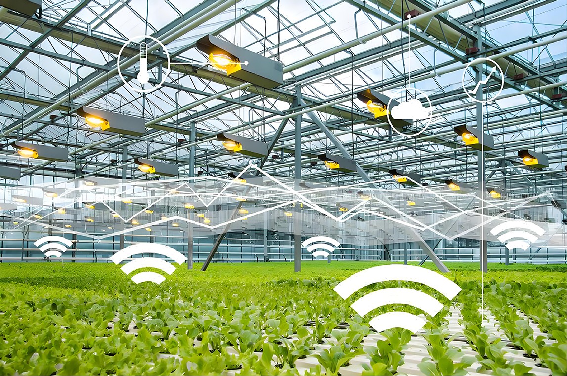 New development of smart agriculture